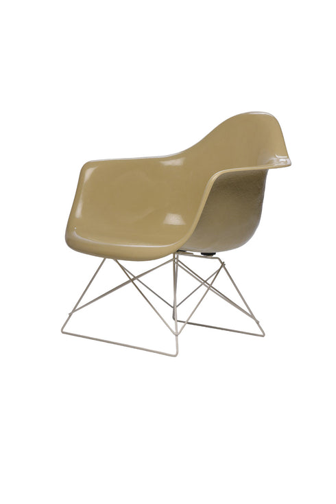 利休白茶(りきゅうしらちゃ)